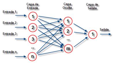 red neuronal